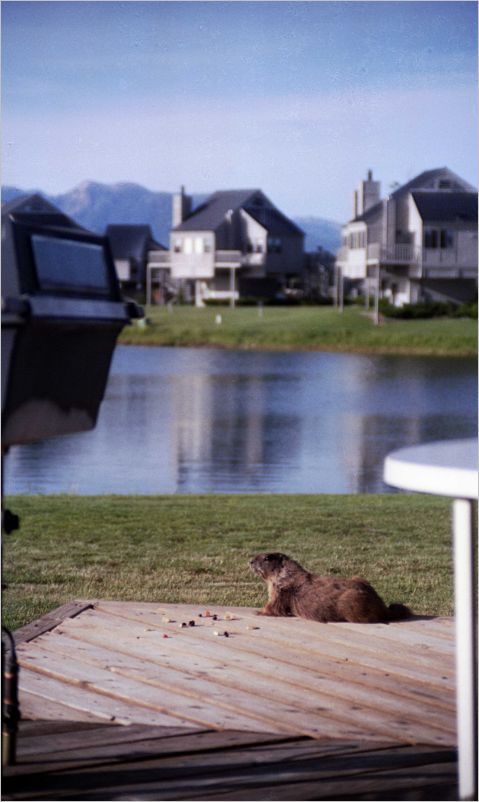 vacattion 1992 pagosa lake powell  north rim -- 032